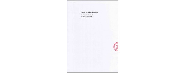 BCTC Quý III/2015 của Digiworld