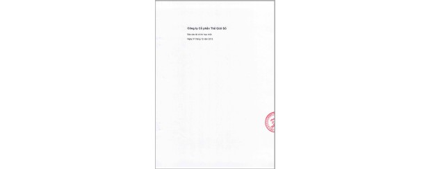 BCTC hợp nhất Quý IV 2015