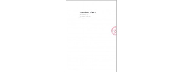 BCTC riêng 2015 của Digiworld