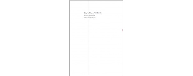 BCTC hợp nhất 2015 của Digiworld